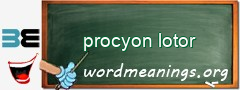 WordMeaning blackboard for procyon lotor